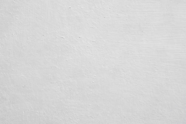 Best Basement Mold Removal  in USA